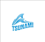 Tsunami development Studio