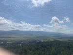 My Group YAY EL GATOOO