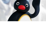 I PINGUINI DI DANI