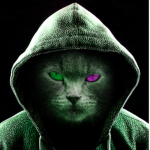 Catmanthesuperman