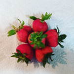 The_fruit_group