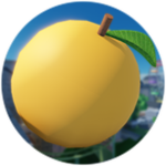 Citrus Quest