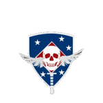 Marine Special Operations Team 8111