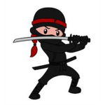 The Krazy Ninjas