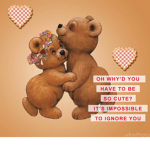 the bears <3