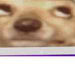 WHAAAAAAAAA?