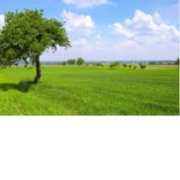 Earth