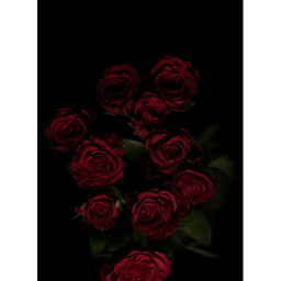 Flowers Forever! Shop