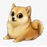 Doge's Club!