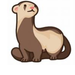 Ferret HQ official