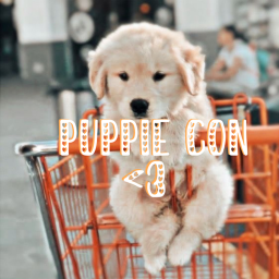 Puppie Con!