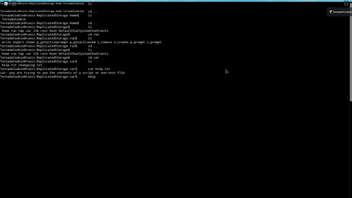 UNIX Emulator