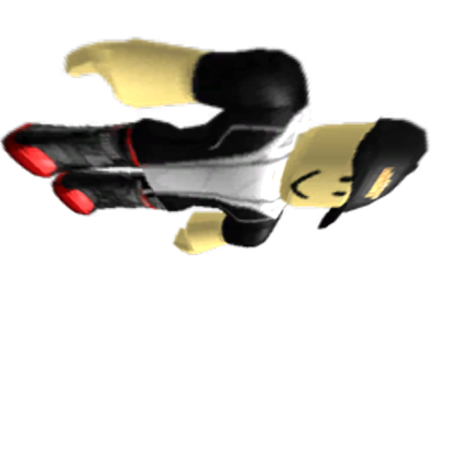Fly