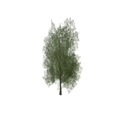 UK TREE #