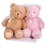Ella's teddy bear's