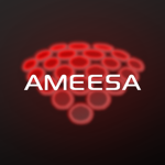 AMEESA | RBLX