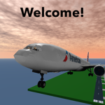 American Airlines International