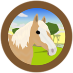 Wild Palomino Tobiano Paint