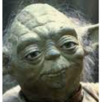 YODA GROUP POGGG