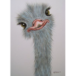 sunny_ostrich