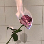 The Bloodline of Eternity Group Thumbnail