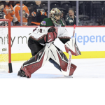 Hockey fan’s