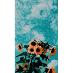 ~•Aristella•~