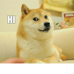 doge hangout