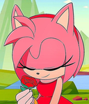 amy rose team