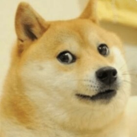 Doge House