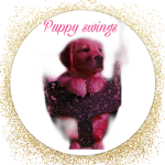 Doge fan group group