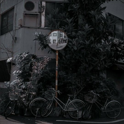 ⊹ . ˚ ıl 𝔽𝕣𝕚𝕖𝕟𝕕𝕤