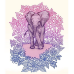 Save our Elephants!