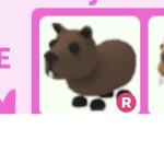 Wjsokey