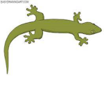 Geko Boyz