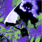 Toxium Clan
