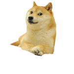 remember the memes?