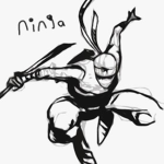White_ ninja's