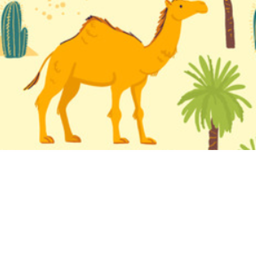 x.Camels~Aesthetics.x's Place Number: 1