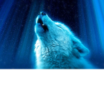 The Moon Wolfs Howl