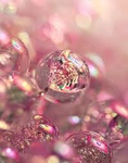 *+ bubblez +*