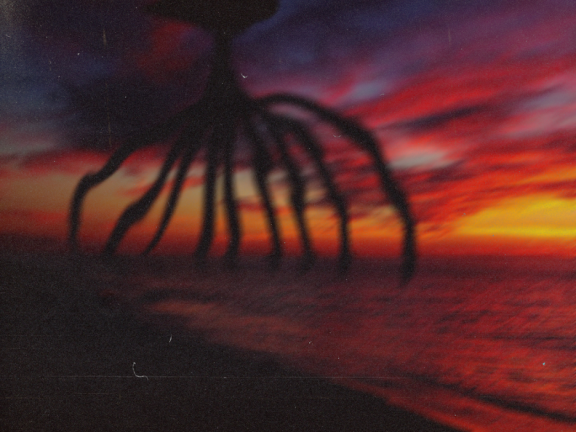 Analog Horror screenshot 1