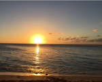 Sparkilling sunseters