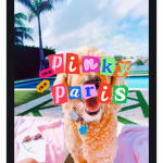 - PinkyParis -