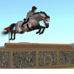 Riding academy