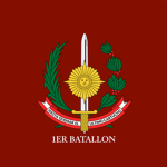 Batallón de Infantería N.º 1