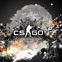 CsGo Testing