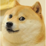 Doggo mc fluffy
