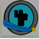 Shining Lightning Gymnastics