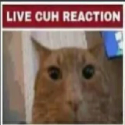 Live Reaction